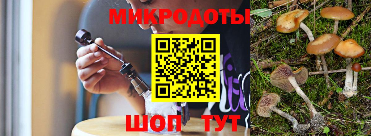сколько стоит  Вход с VPN  Ачхой-Мартан  Псилоцибиновые грибы GOLDEN TEACHER 